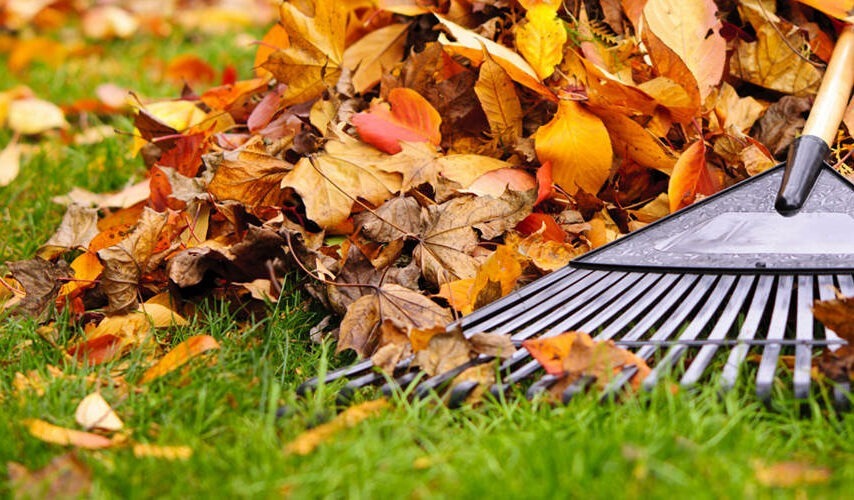 ramassage-feuilles-cmonjardinier