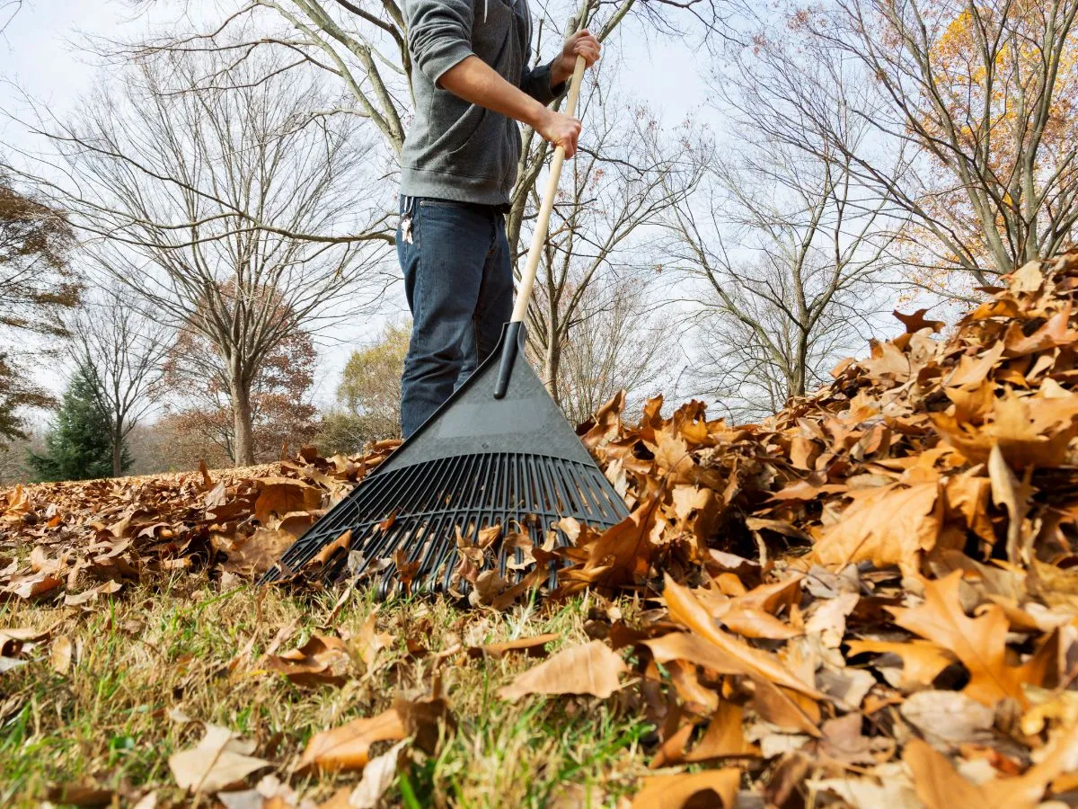 ramasser-feuilles-automne